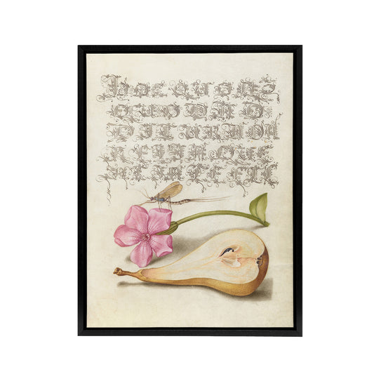 Mayfly Red Campion and Pear Calligraphy Framed Canvas Wall Art Print