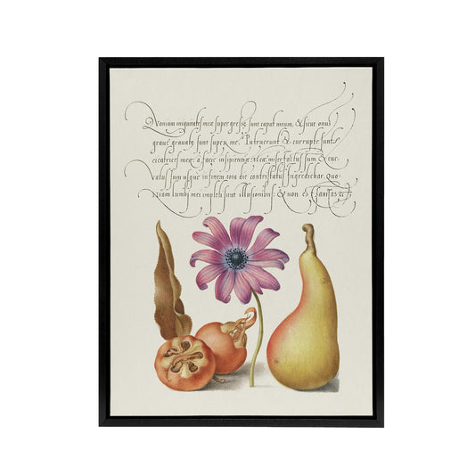 Medlar Poppy Anemone and Pear Calligraphy Framed Canvas Wall Art Print