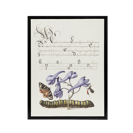Butterfly Caterpillar and Flower Calligraphy Framed Canvas Wall Art Print