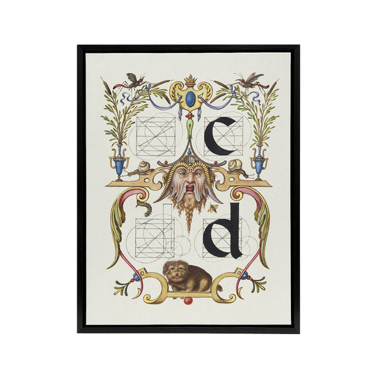 Pictoral Letter Guide C And D Calligraphy Framed Canvas Wall Art Print