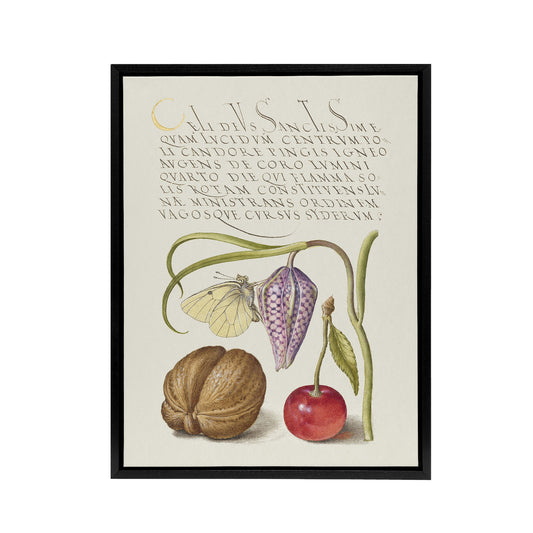Snakeshead Walnut and Cherry Calligraphy Framed Canvas Wall Art Print
