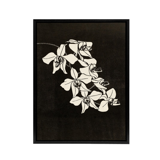 Black and White Orchid Flower De Mesquita Framed Canvas Wall Art Print