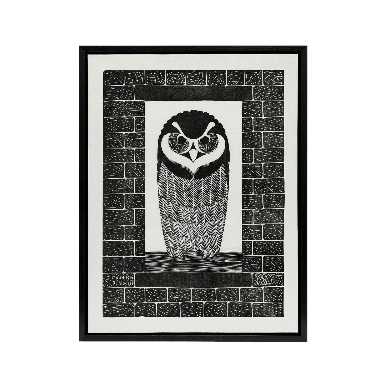 Ringuil Owl Bird on a Window De Mesquita Framed Canvas Wall Art Print