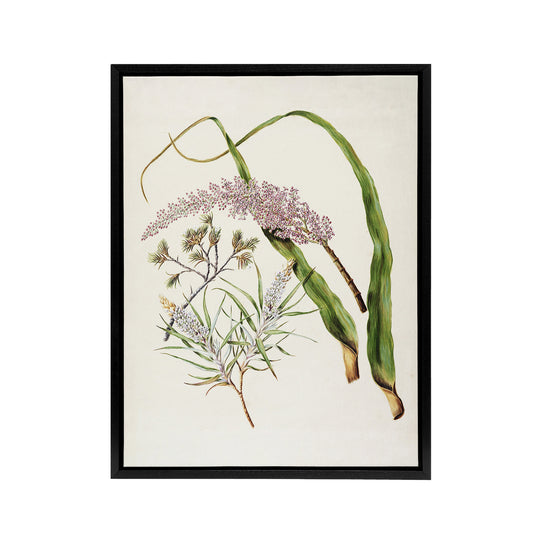 Totorowhiti Turpentine Scrub Flowers Featon Framed Canvas Wall Art Print