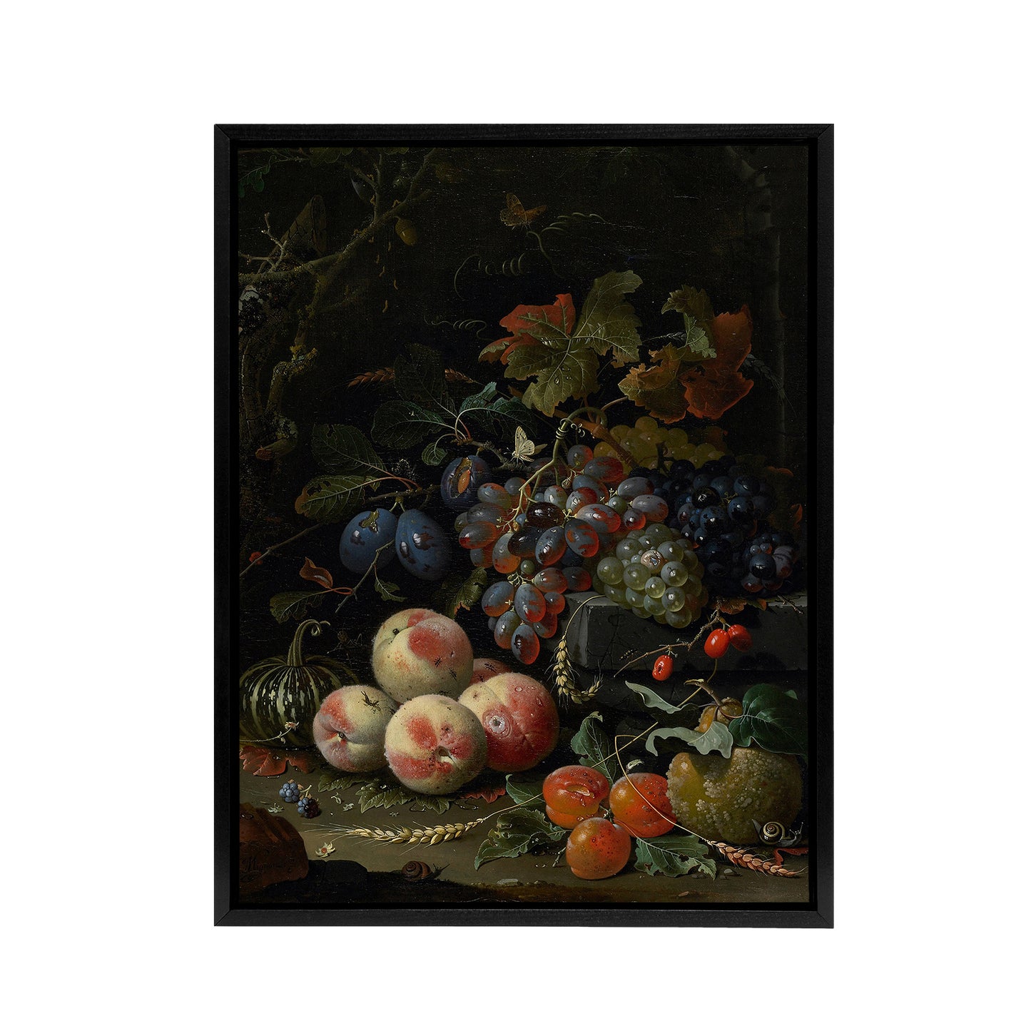 Still Life With Fruit Foliage and Insects Mignon Framed Canvas Wall Art