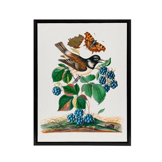 Bramble Rubus Starling and Butterflies Bolton Framed Canvas Wall Art