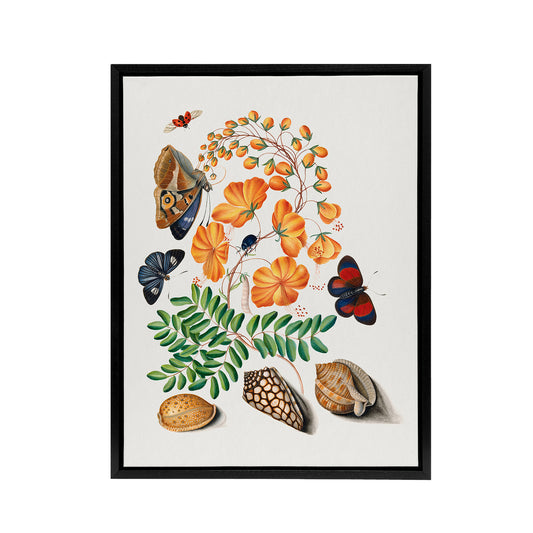 Flowers Butterflies and Seashells Bolton Black Framed Canvas Wall Art