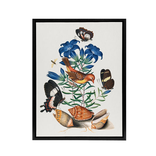 Red Avadavat Swallowtail and Shells Bolton Black Framed Canvas Wall Art