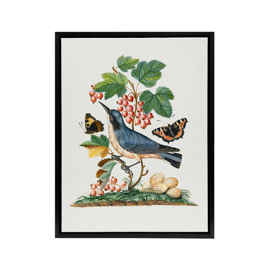 Warbler Bird and Red Admiral Butterfly Bolton Framed Canvas Wall Art
