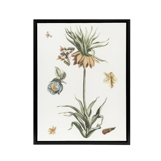 Keizerskroon Tulip and Butterfly Teyler Black Framed Canvas Wall Art