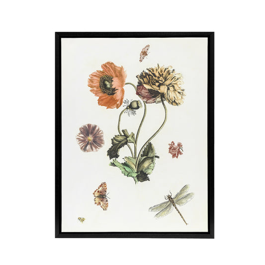 Poppies Butterflies and Dragonfly Teyler Black Framed Canvas Wall Art