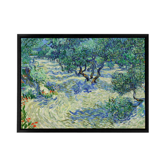 Vincent Van Gogh Olive Orchard Black Framed Canvas Wall Art Print