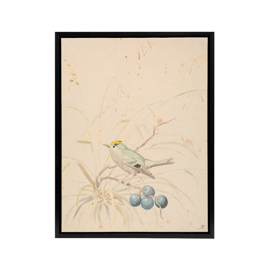 PC Skovgaard Kingbird on a Meadow Branch Black Framed Canvas Wall Art Print