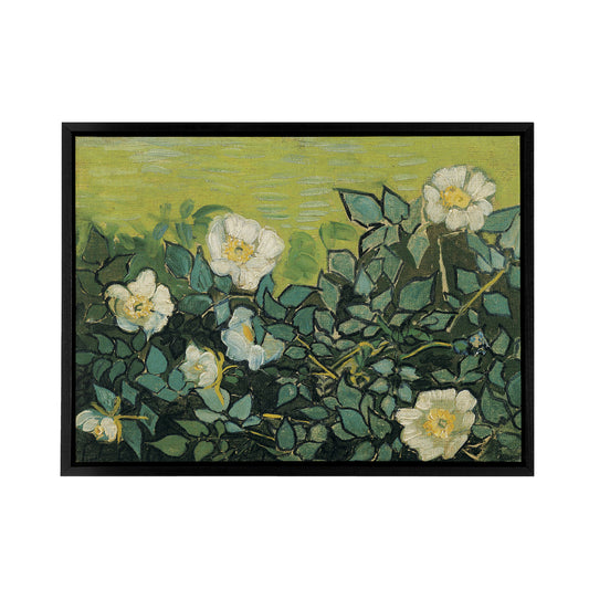 Vincent Van Gogh Wild Roses Floral Black Framed Canvas Wall Art Print