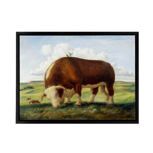 John S Curry Ajax Hereford Bull and Birds Black Framed Canvas Art Print