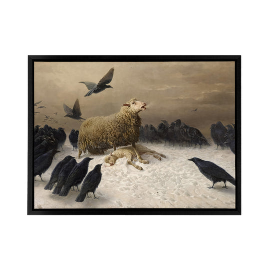 Schenck Anguish Sheep And Murder Of Crows Black Framed Canvas Art Print