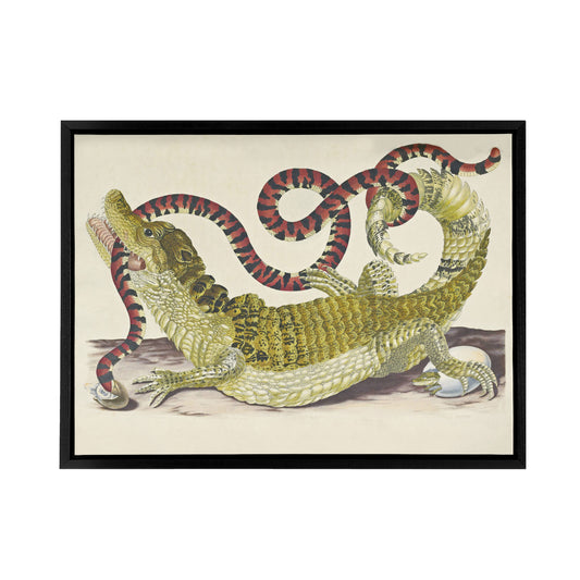 Merian Alligator Crocodile Snake Black Framed Canvas Wall Art Print