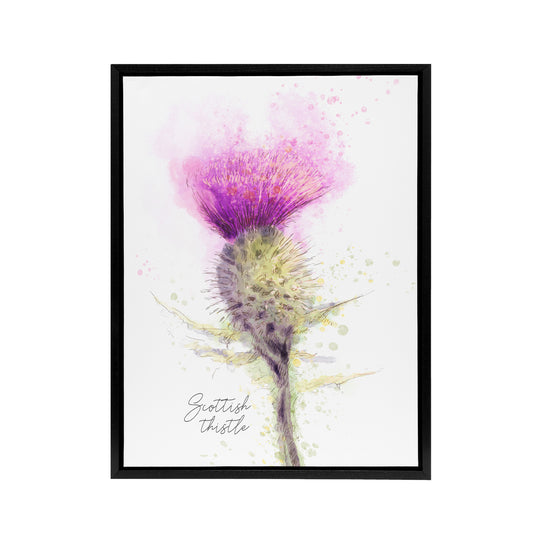 Scottish Thistle Flower Head Black Framed Canvas Wall Art Print