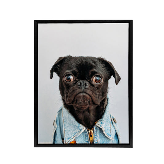 Deluvio Pug Puppy Dog In Jacket Black Framed Canvas Wall Art Print