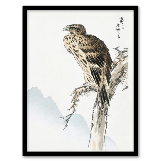 Numata Kashu Framed Wall Art Print Black Eared Kite Bird Japanese Home Décor