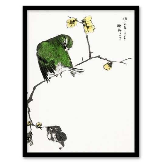 Numata Kashu Framed Wall Art Print Fairy Pitta and Japanese Allspice Home Décor