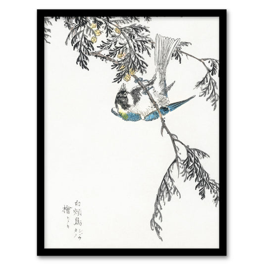 Kashu Framed Wall Art Print Great Tit and Japanese Cypress Japanese Home Décor