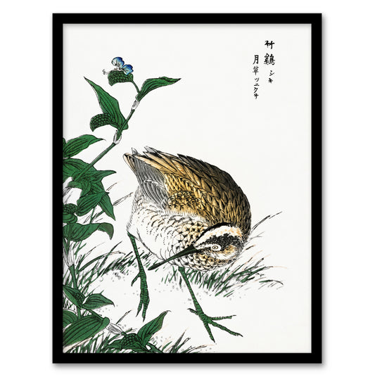 Numata Kashu Framed Wall Art Print Greenshank and Bupleurum Japanese Home Décor