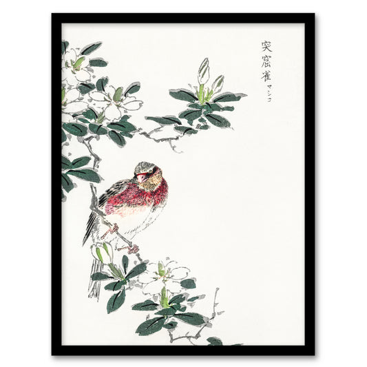 Numata Kashu Framed Wall Art Print Long Tailed Rosefinch Japanese Home Décor