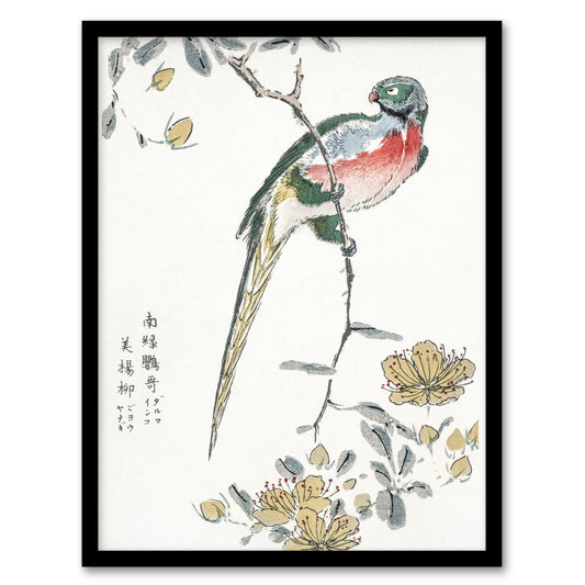 Numata Kashu Framed Wall Art Print Macaw Parrot and Peach Flowers Home Décor