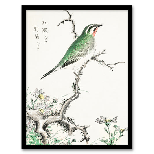 Numata Kashu Framed Wall Art Print Ruby Throat Bird and Wild Camomile Home Décor