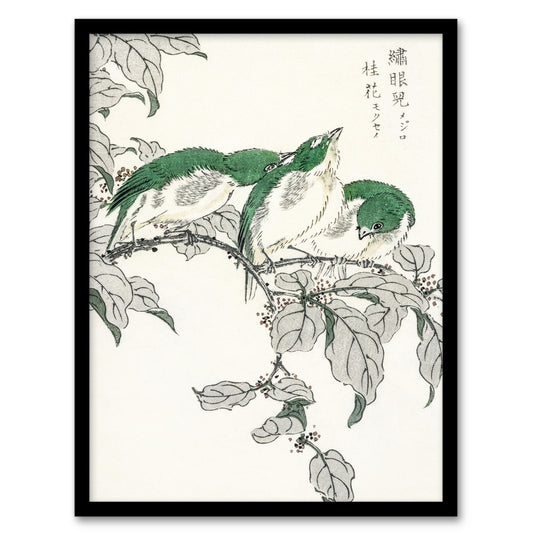 Numata Kashu Framed Wall Art Print White Eye and Osmanthus Japanese Home Décor