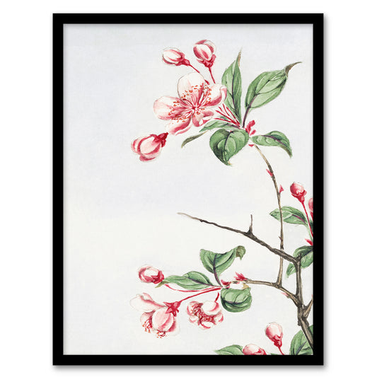 Megata Morikaga Framed Wall Art Print Kaido Crabapple Flower Bloom Home Décor