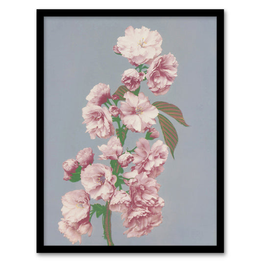 Ogawa Kazumasa Framed Wall Art Print Cherry Blossom Flower Bloom Home Décor
