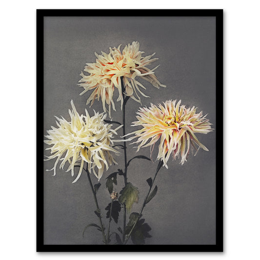 Ogawa Kazumasa Framed Wall Art Print Chrysanthemums Vintage Floral Home Décor