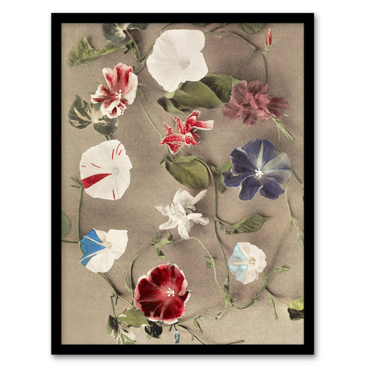 Ogawa Kazumasa Framed Wall Art Print Group Of Morning Glories Home Décor