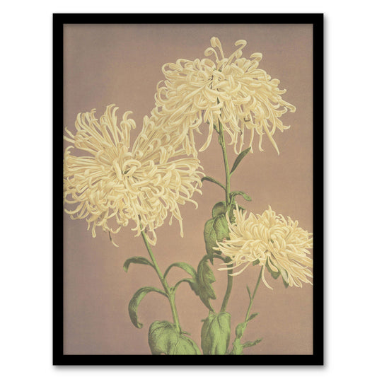Ogawa Kazumasa Framed Wall Art Print Three Yellow Chrysanthemums Home Décor