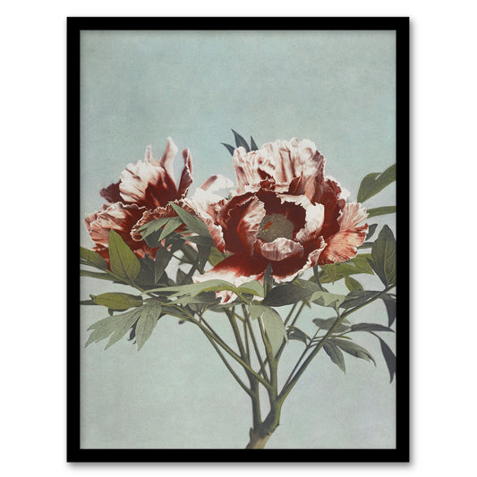 Ogawa Kazumasa Framed Wall Art Print Tree Peonies Pink Flower Blooms Home Décor