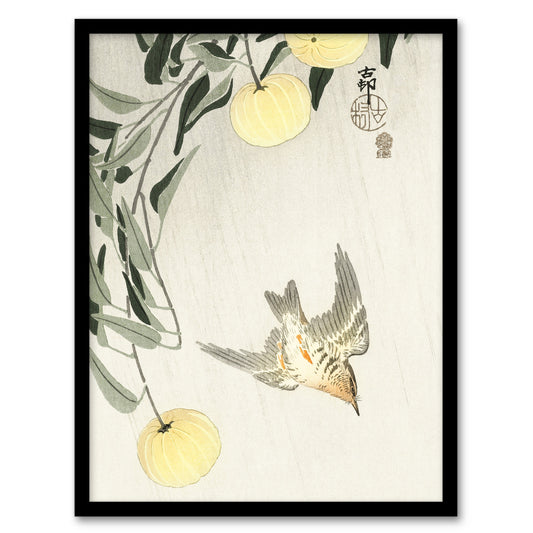 Ohara Koson Framed Wall Art Print Cuckoo In Early Summer Rain Home Décor