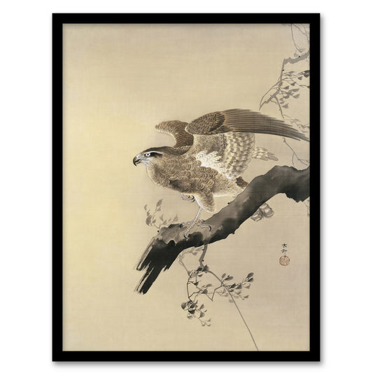 Ohara Koson Framed Wall Art Print Hawk Bird of Prey on Tree Branch Home Décor