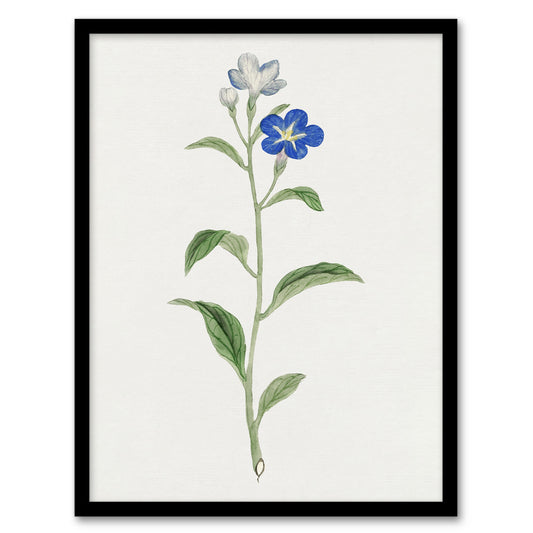 Vintage Japanese Botanical Framed Wall Art Print Blue Flower Home Décor