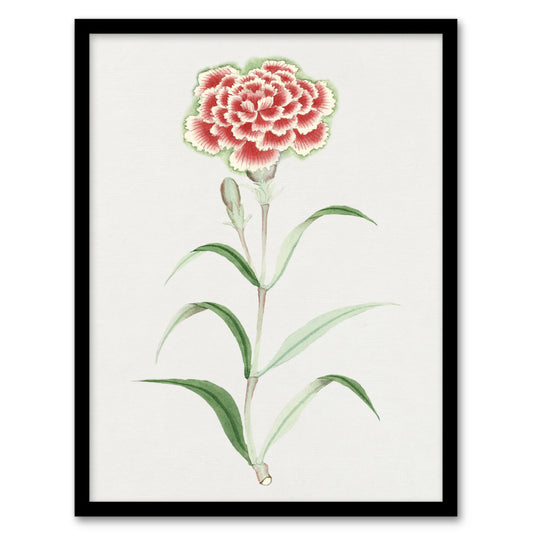 Vintage Japanese Botanical Framed Wall Art Print Carnation Flower Home Décor