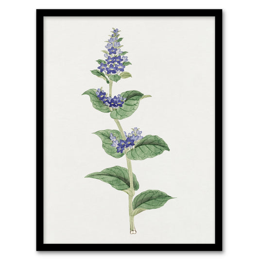 Vintage Japanese Botanical Framed Wall Art Print Gentian Flower Home Décor