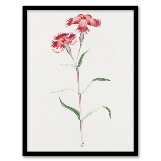 Vintage Japanese Botanical Framed Wall Art Print Nadeshiko Flower Home Décor