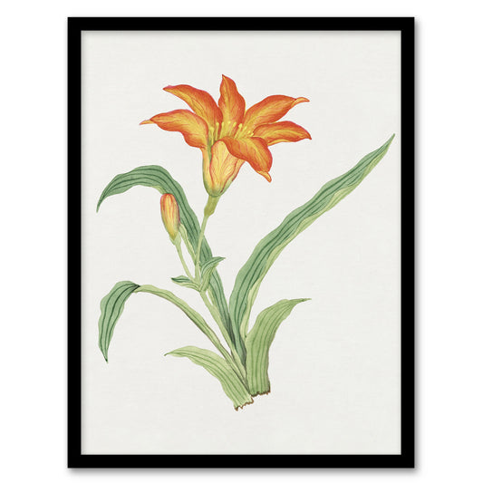 Vintage Japanese Botanical Framed Wall Art Print Orange Lily Flower Home Décor