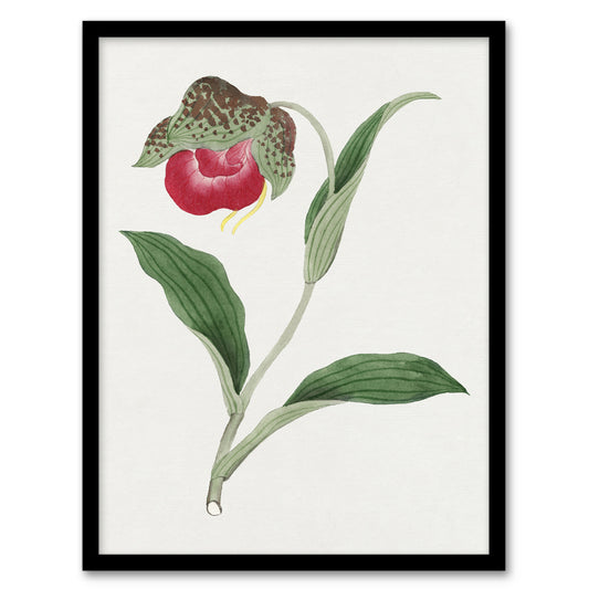 Vintage Japanese Botanical Framed Wall Art Print Orchid Flower Home Décor
