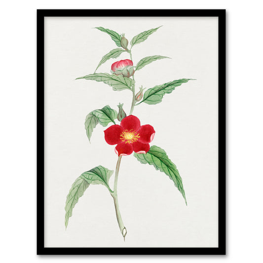 Vintage Japanese Botanical Framed Wall Art Print Pomegranate Flower Home Décor