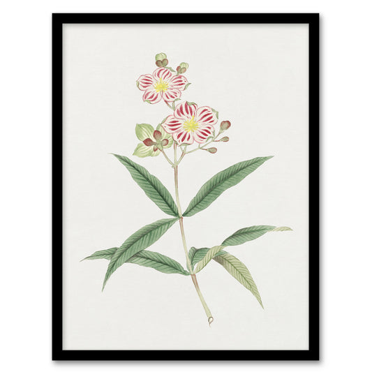 Vintage Japanese Botanical Framed Wall Art Print Red White Blossoms Home Décor