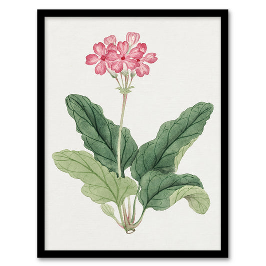 Vintage Japanese Botanical Framed Wall Art Print Sakura Flower Home Décor