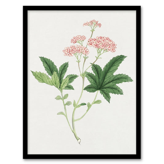 Vintage Japanese Botanical Framed Wall Art Print Shimotsuke Flower Home Décor