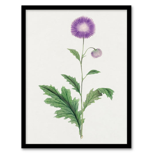 Vintage Japanese Botanical Framed Wall Art Print Thistle Flower Home Décor